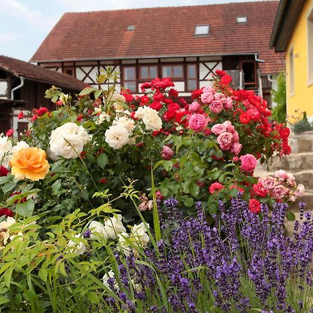 Studioapartment Mit Wohlfuehlcharakter Litzendorf المظهر الخارجي الصورة